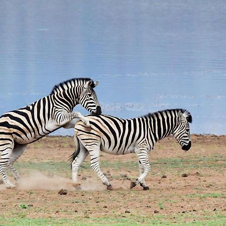Tented Adventures Pilanesberg Esterno foto