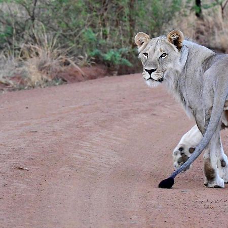 Tented Adventures Pilanesberg Esterno foto