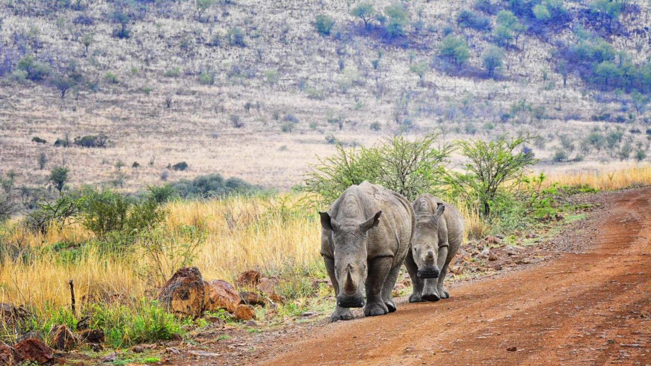 Tented Adventures Pilanesberg Esterno foto