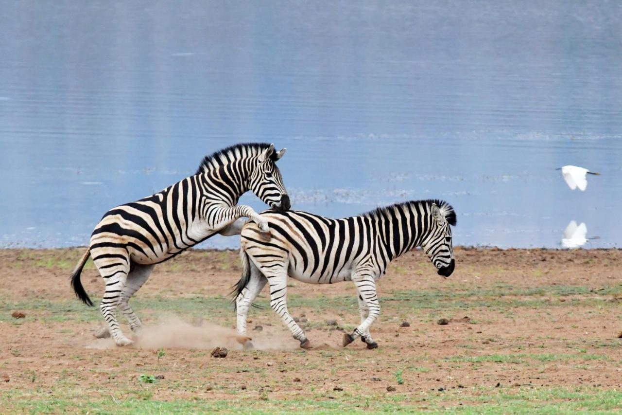 Tented Adventures Pilanesberg Esterno foto